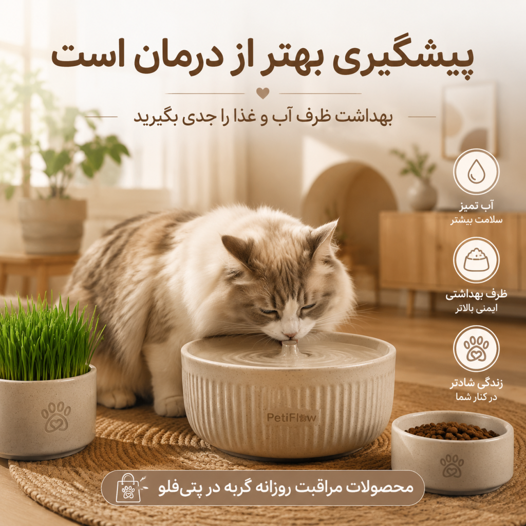 پتی فلو