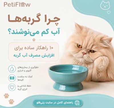 پتی‌فلو - چرا گربه های آب کم مینوشند؟