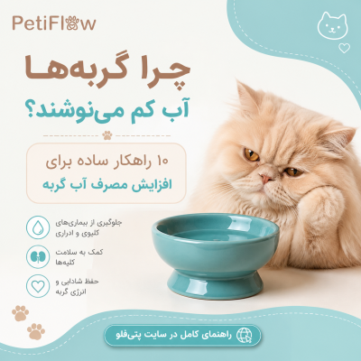 پتی‌فلو - چرا گربه های آب کم مینوشند؟